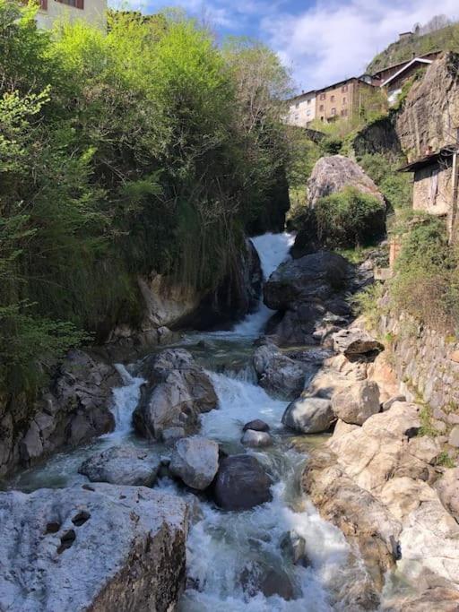 Il Sole Di Ester Branzi Exterior foto